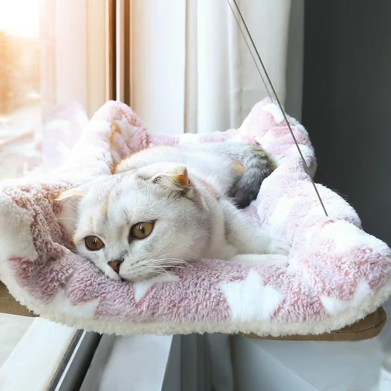 Cat Accessories