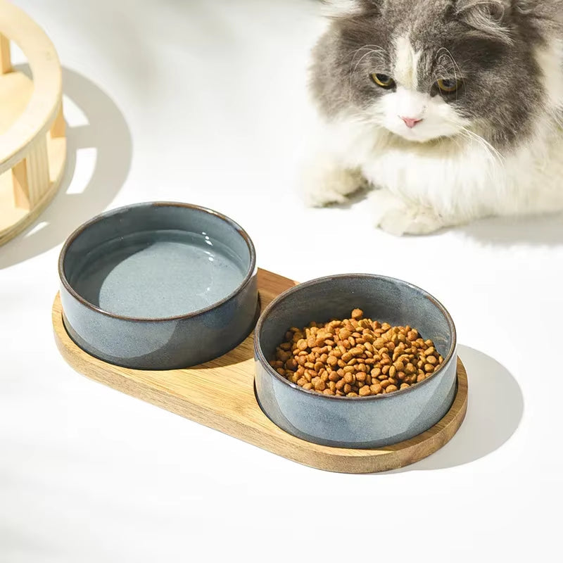 Cat Essentials